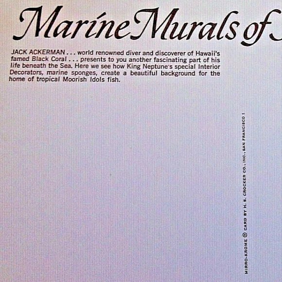 Vintage Postcard Marine Murals Hawaii Moorish Idols Fish & Black Coral Unposted - Picture 4 of 16